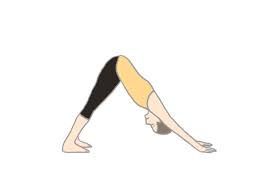 Mobiliteitstrainers, foamrollers en andere hulpmiddelen voor het verbeteren van flexibiliteit, mobiliteit en herstel, beschikbaar bij Fysio Essentials