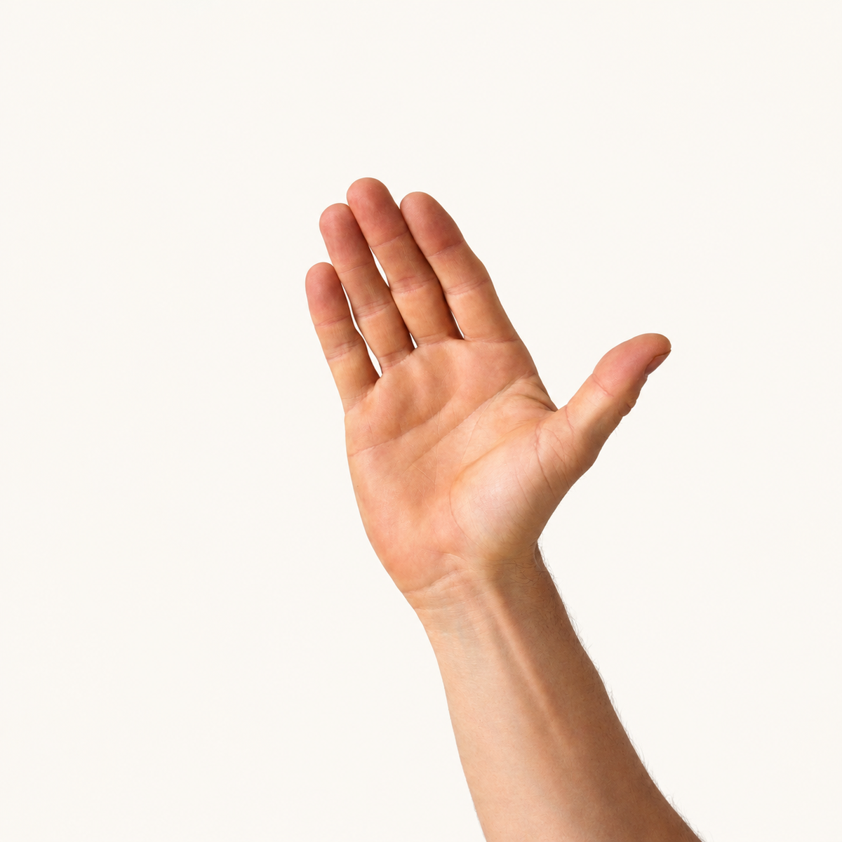 Collectie hand voor alle hand producten